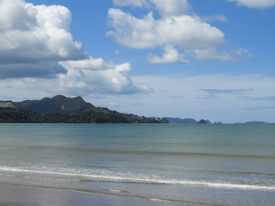 怀蒂昂格海滨度假汽车旅馆主图
