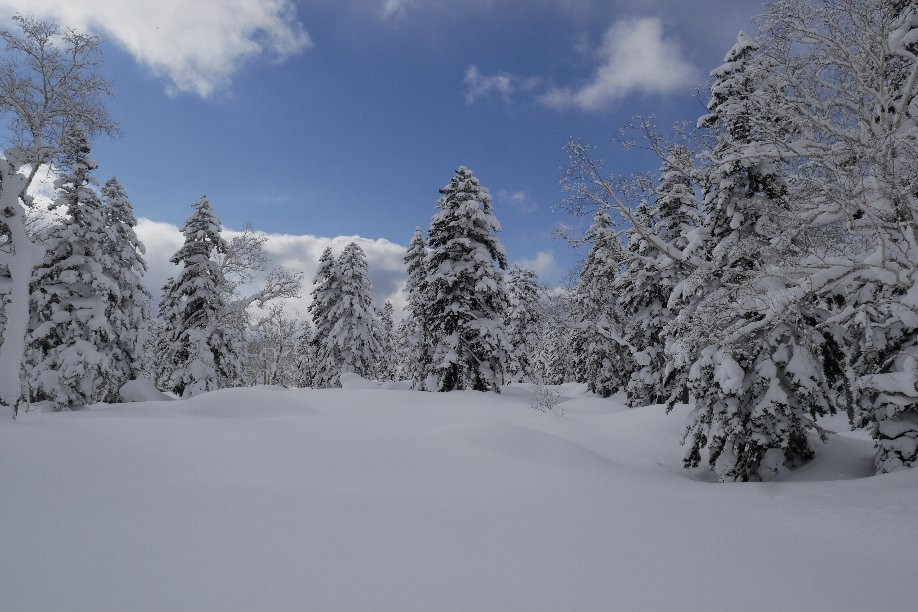 Furano Snow Tours-中富良野町必去景点