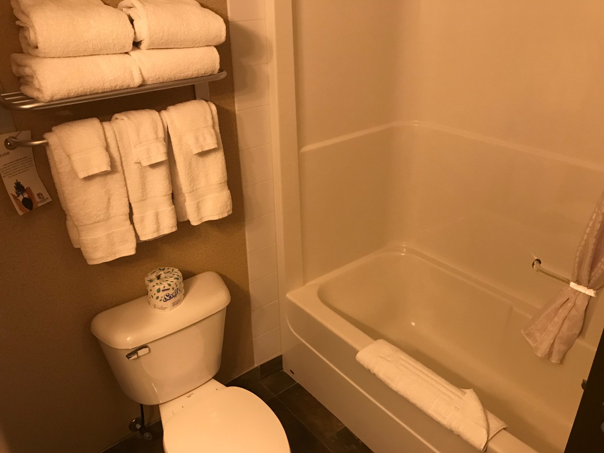 Pomeroy Hotel & Conference Centre Fort St John-浴室