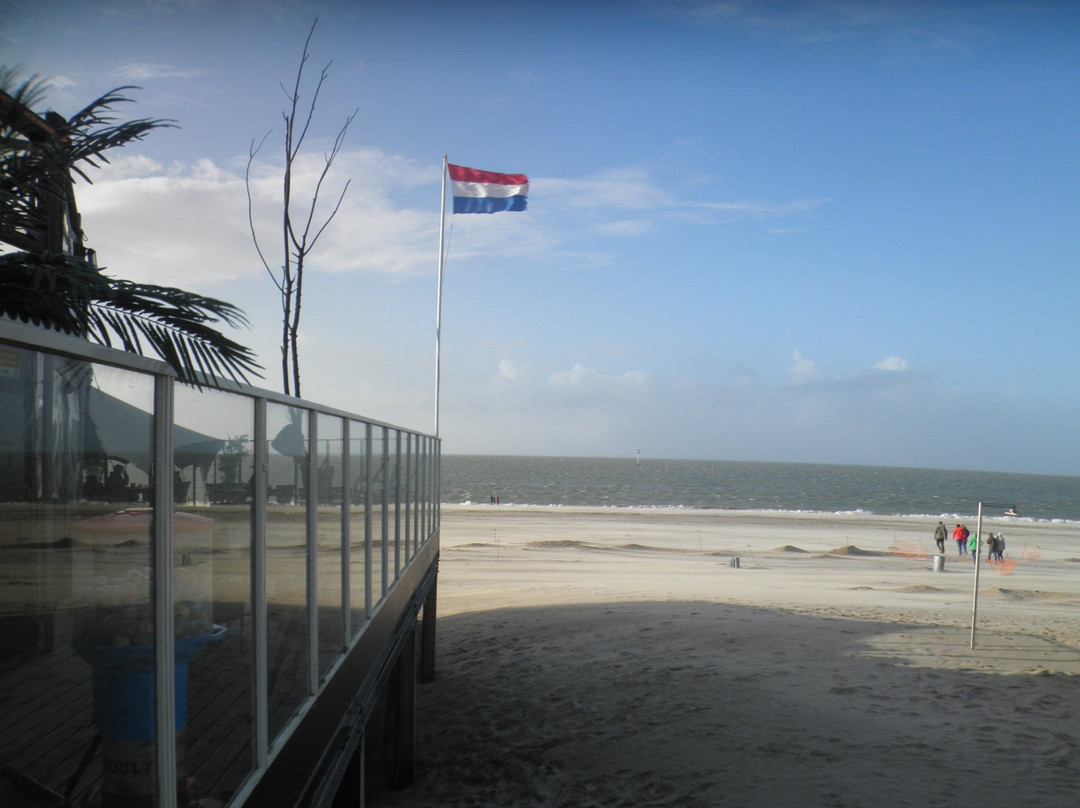 Scharendijke旅游攻略图片