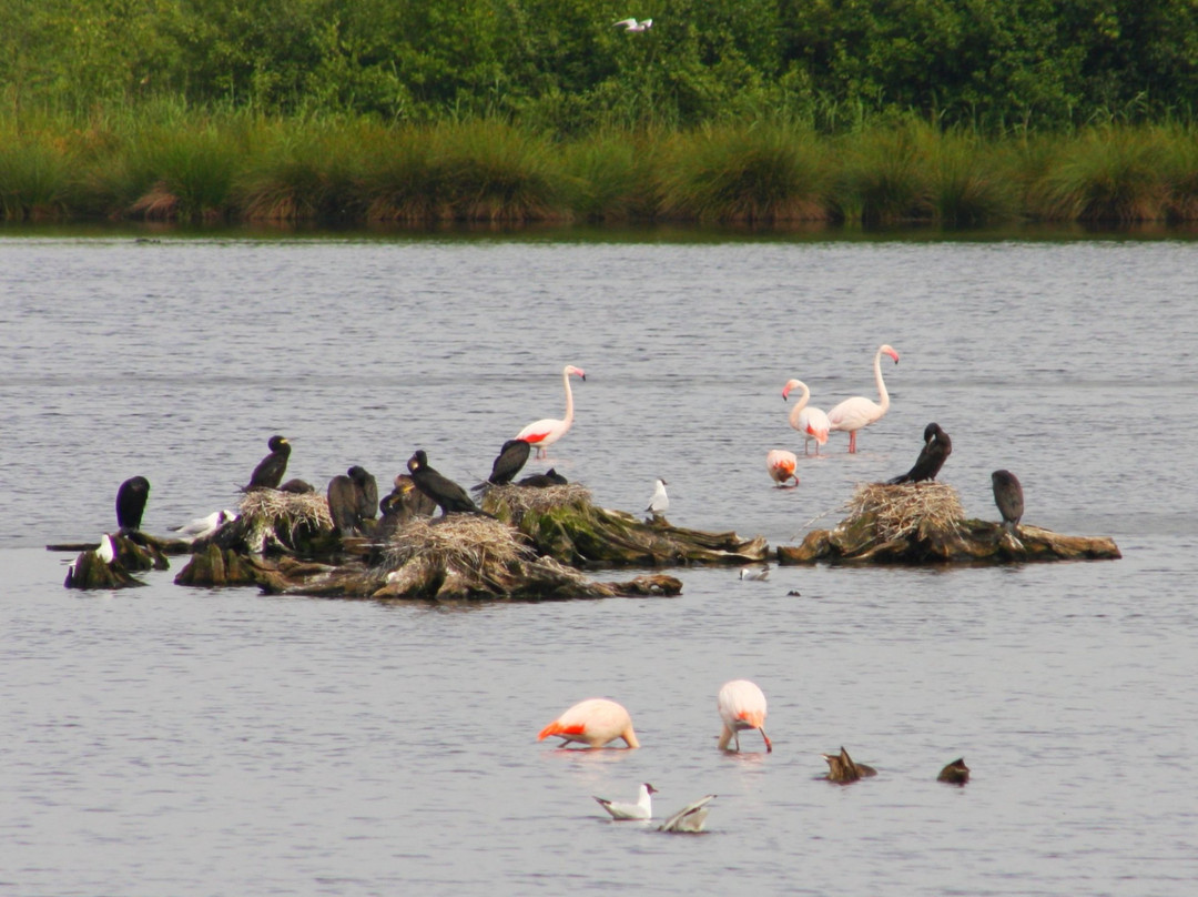 Haaksbergen酒店住宿-Landhotel De Greune Weide