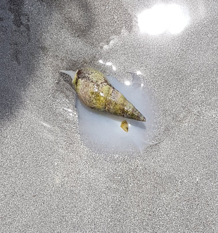 Paters Haven Self-Catering and B&B主图