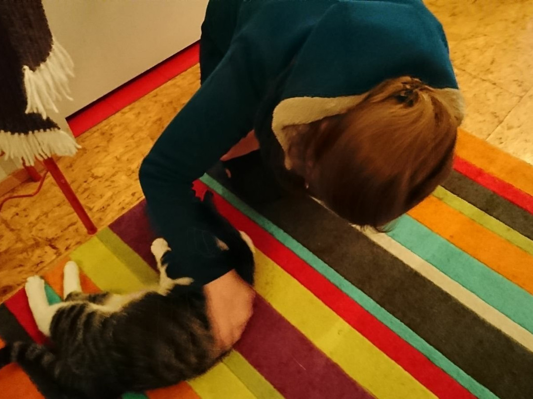 Guesthouse Himnasvalir主图