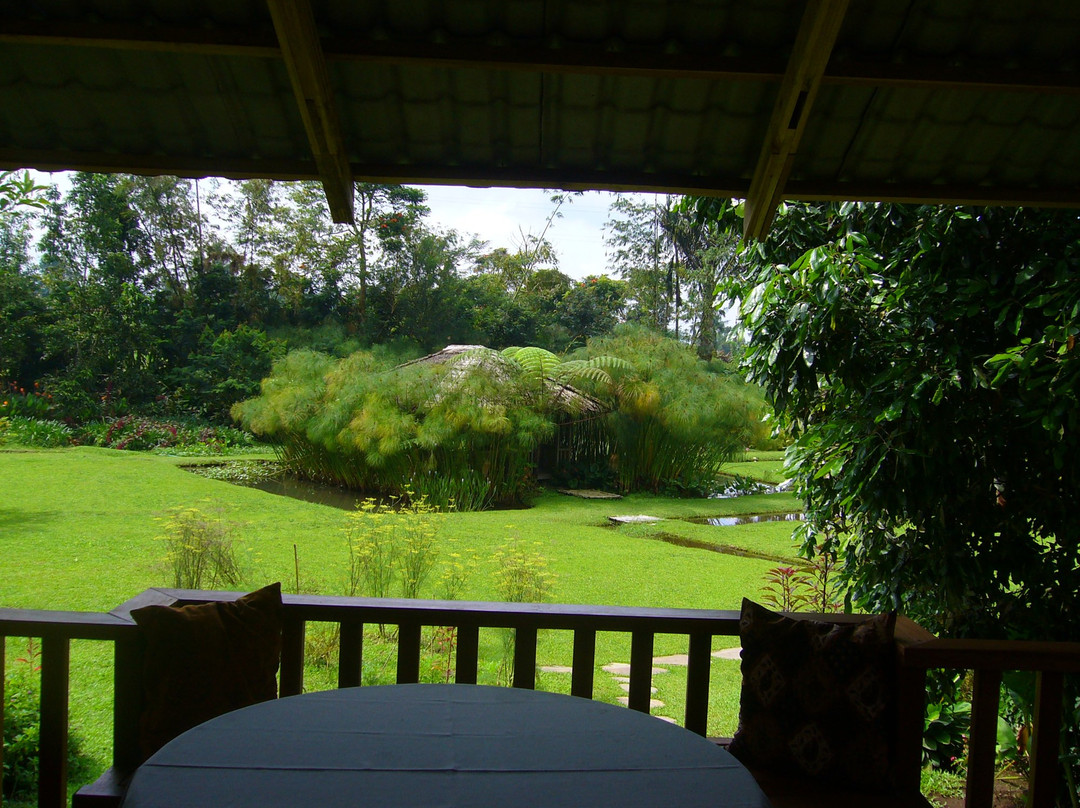 Gardenia Country Inn主图