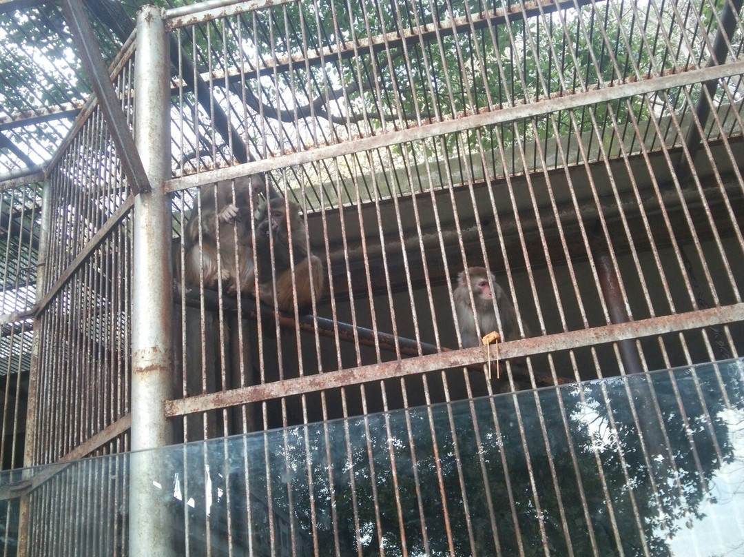 余姚龙泉山-余姚市必去景点