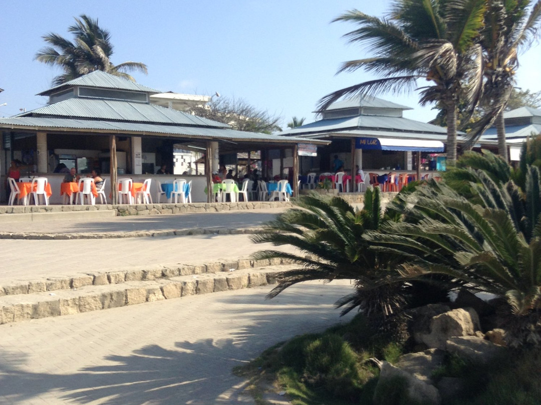 Playa de Ballenita景点图片