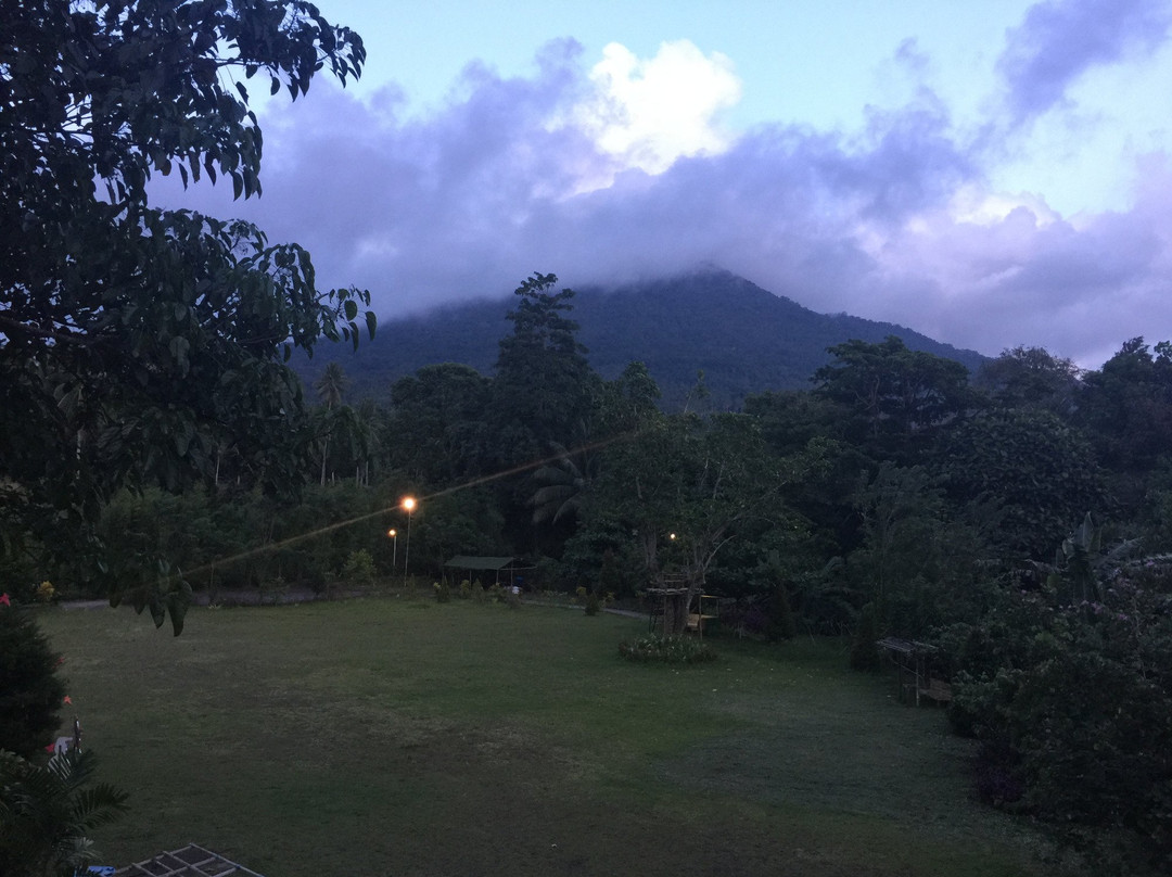 Botanica Nature Resort主图