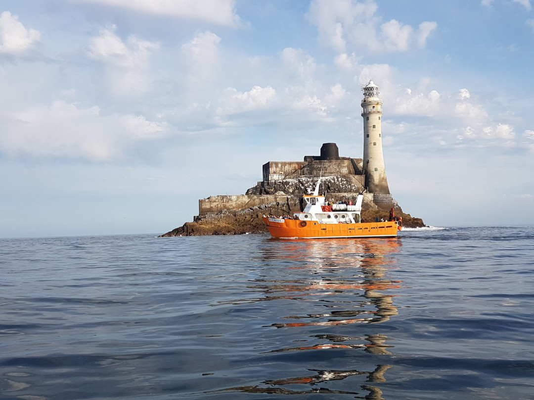 Cape Clear Ferry-Schull必去景点