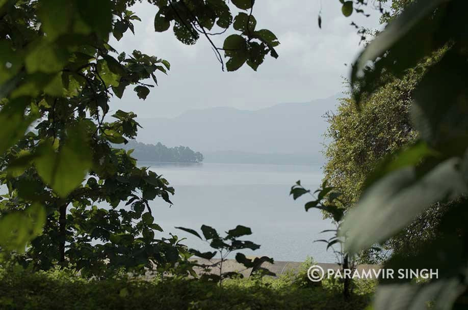 Tansa Wildlife Sanctuary景点图片