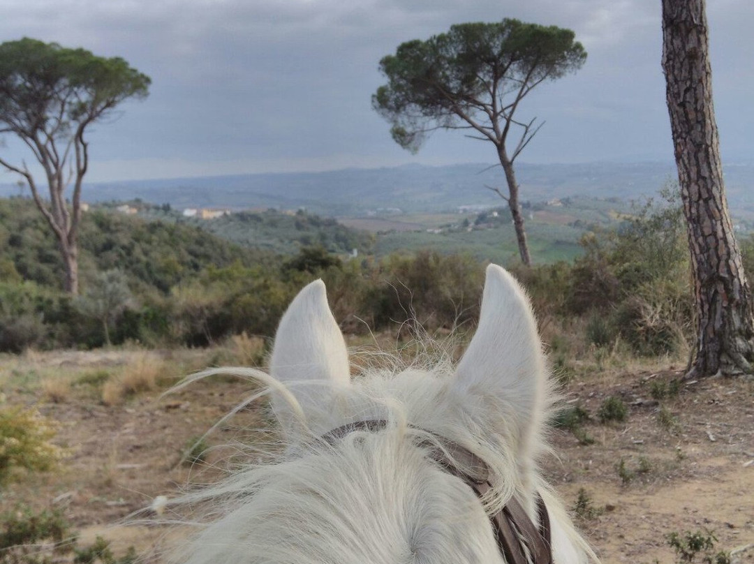 Maneggio Madre Terra-佛罗伦萨必去景点