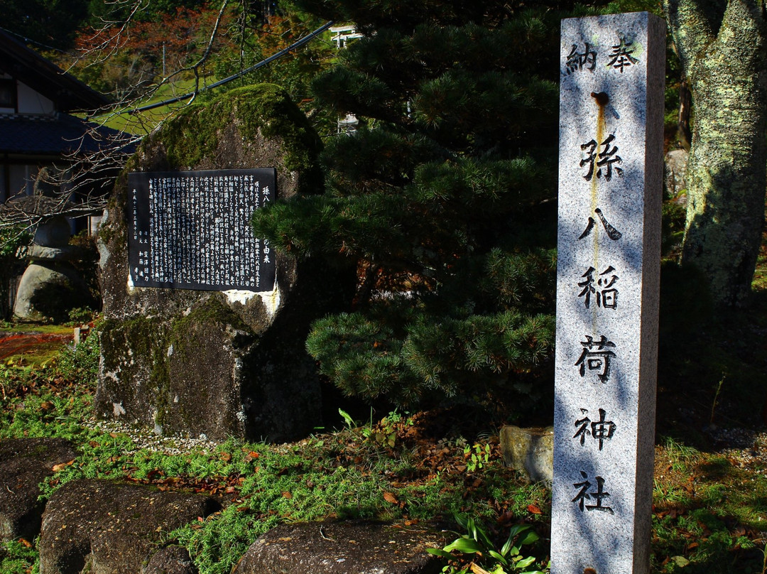 Magohachi主图