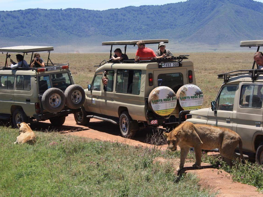 Livets Resa-阿鲁沙必去景点