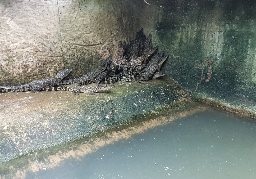 Local Bike Tour-马德望必去景点