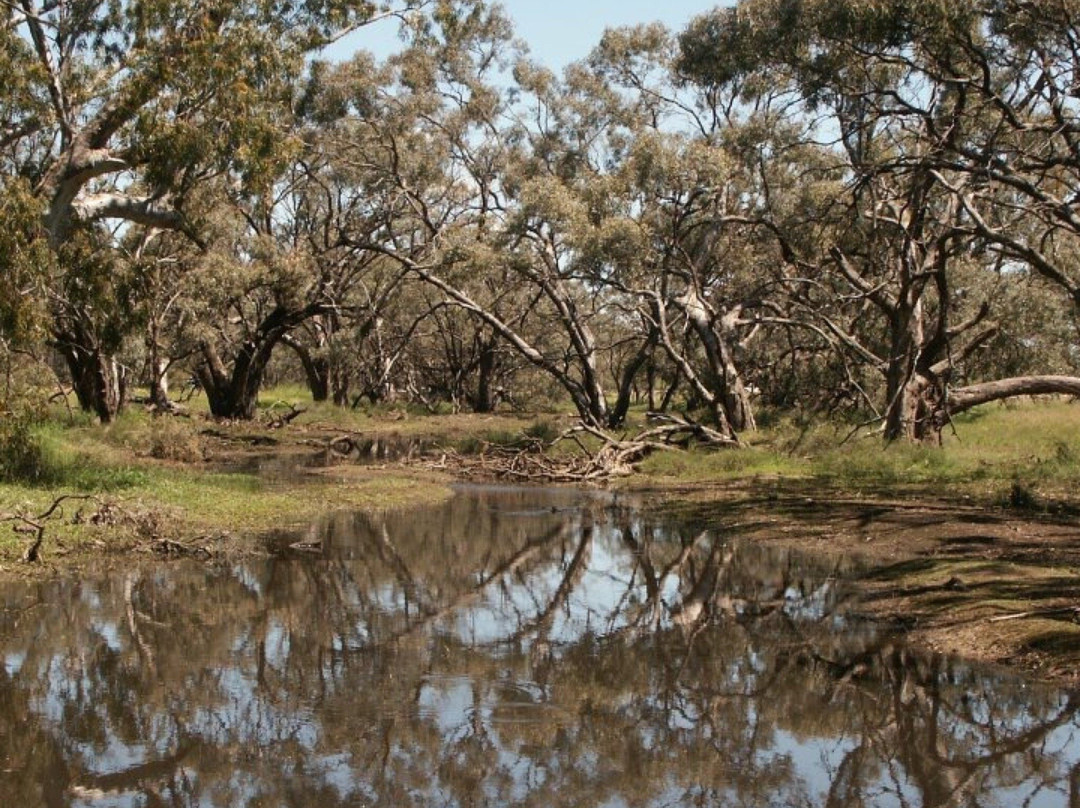 Richardson River景点图片