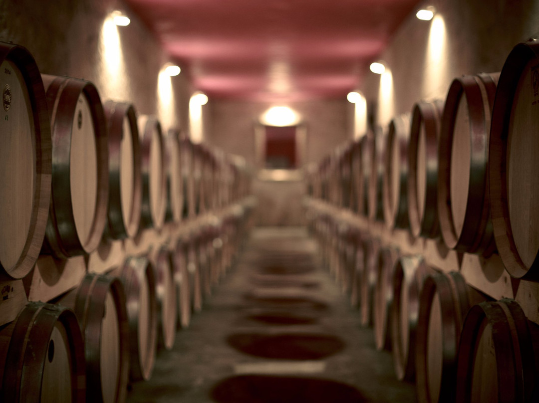 Chateau Pindefleurs景点图片