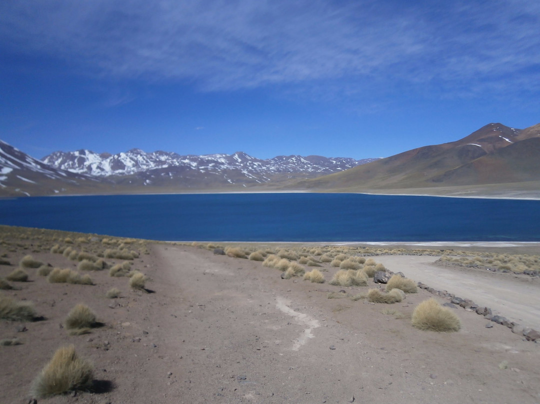 Lagunas Altiplanicas景点图片