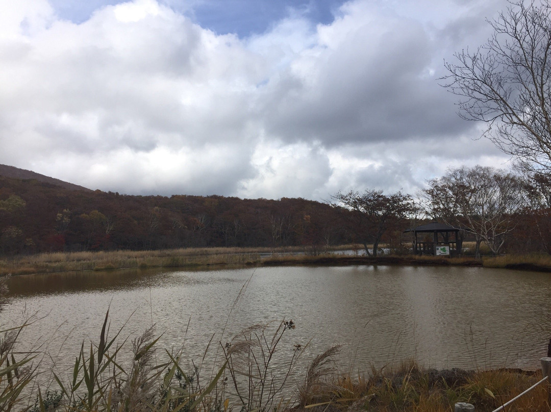 Gozaisho Pond and Goshiki Pond-八幡平市必去景点