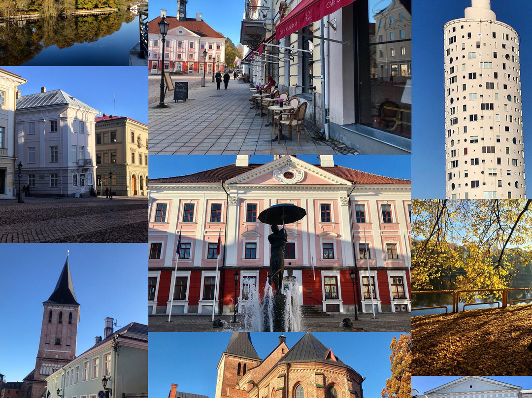 Tartu County旅游攻略图片