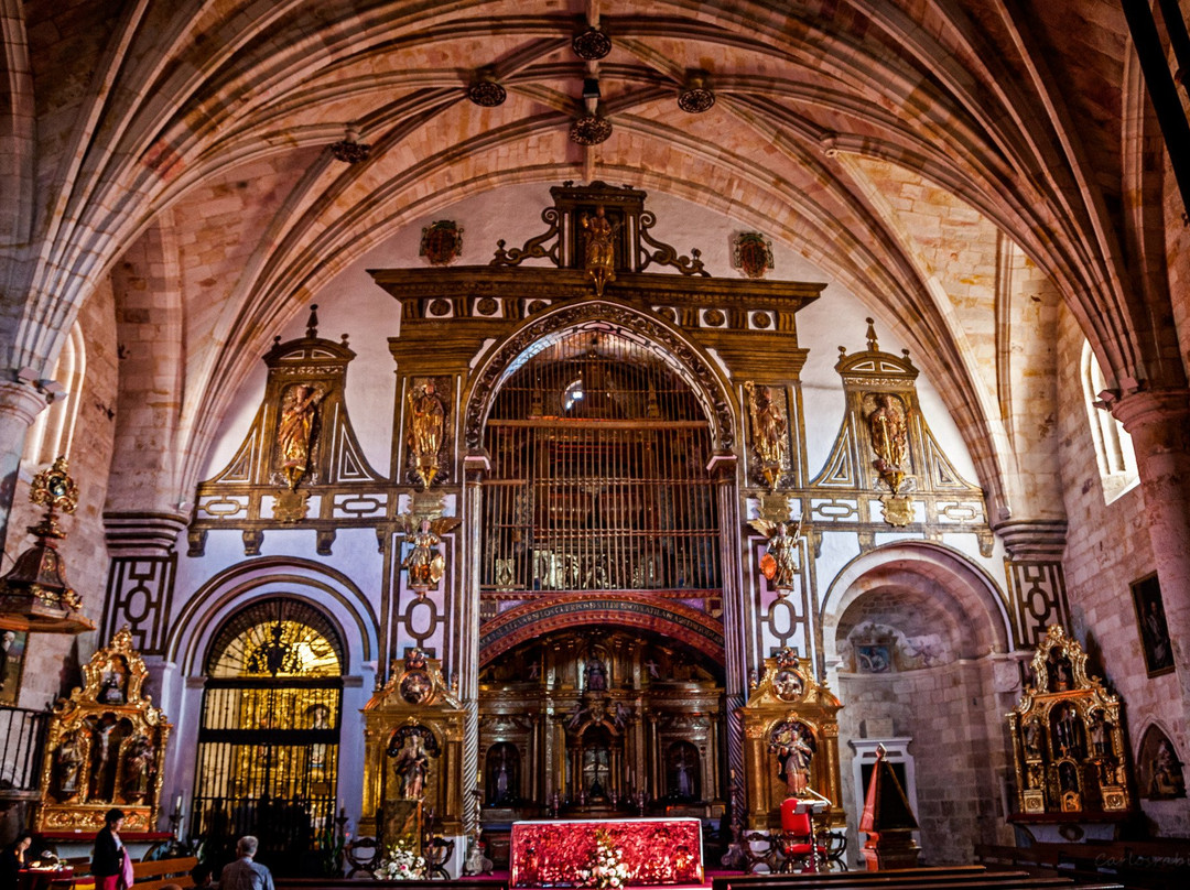 Iglesia de San Pedro y San Ildefonso景点图片