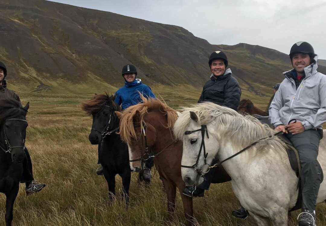 Fjallahestar-Siglufjordur必去景点