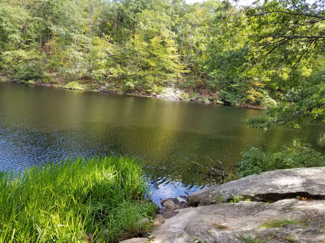 Lucius Pond Ordway / Devil's Den Preserve-Weston必去景点