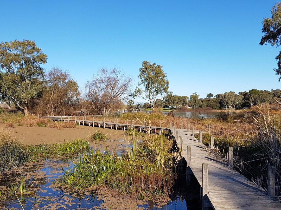 Swanport Wetlands景点图片