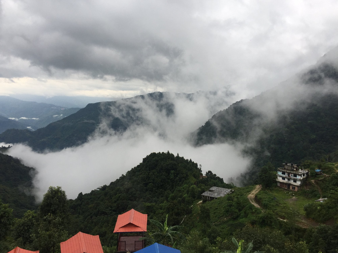 Hotel Majestic, Bhedetar主图