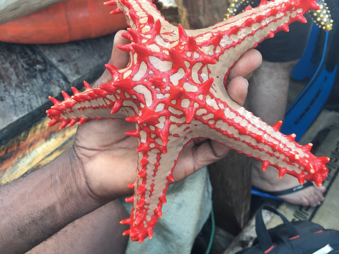 Bashasha Tours-孥归必去景点