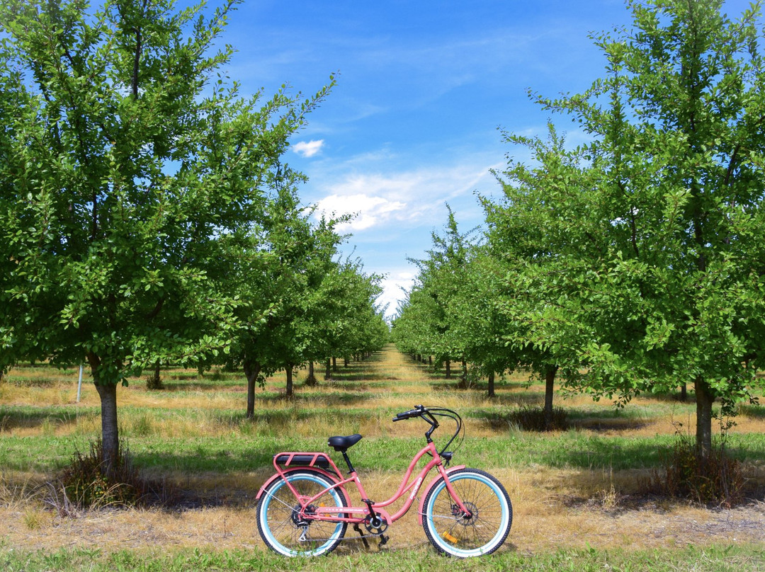 GoodTurn Cycles景点图片