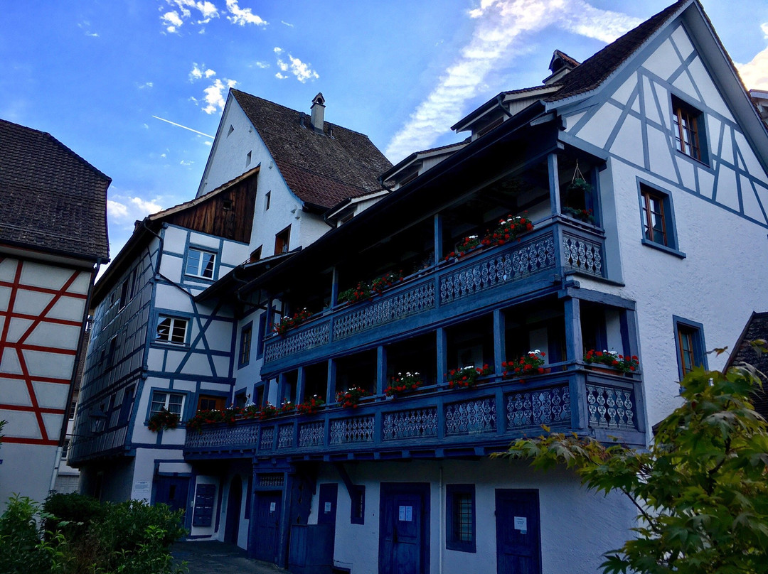Bad Zurzach Tourismus景点图片