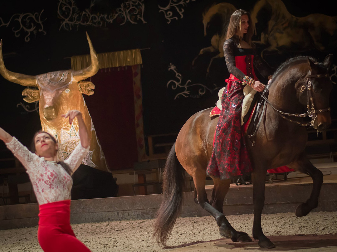 Equestrian Theater Camarkas-滨海圣玛丽必去景点