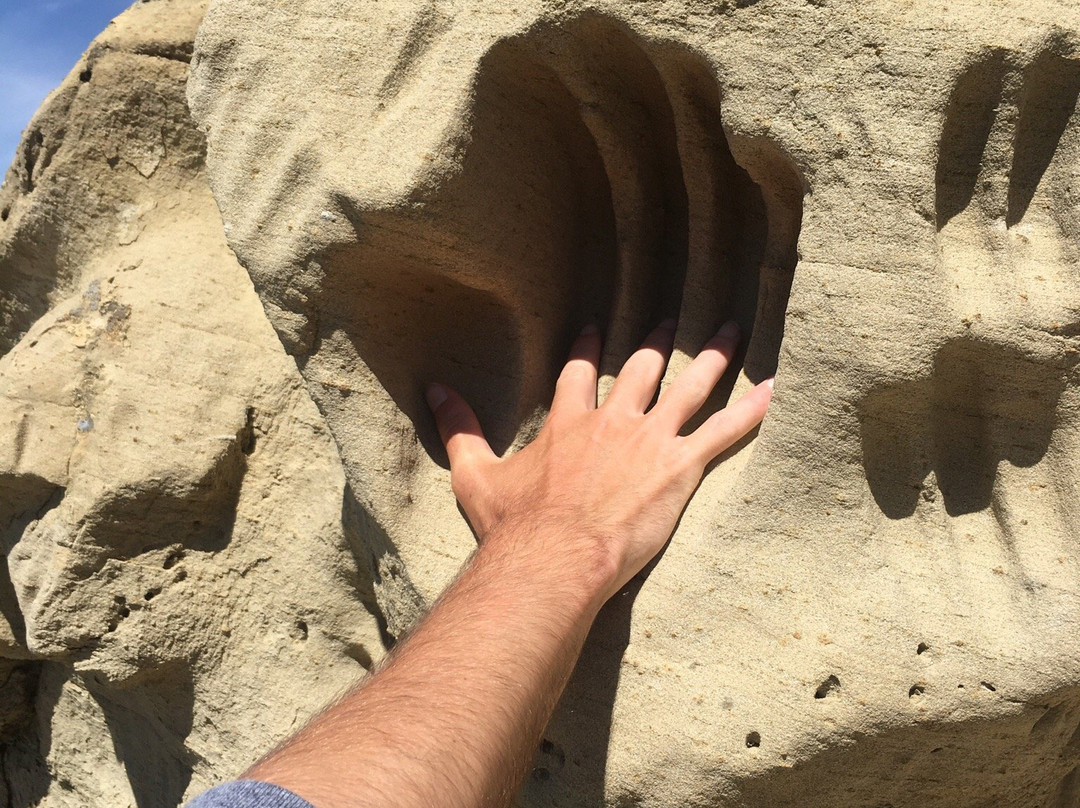 White Mountain Petroglyphs-Rock Springs必去景点