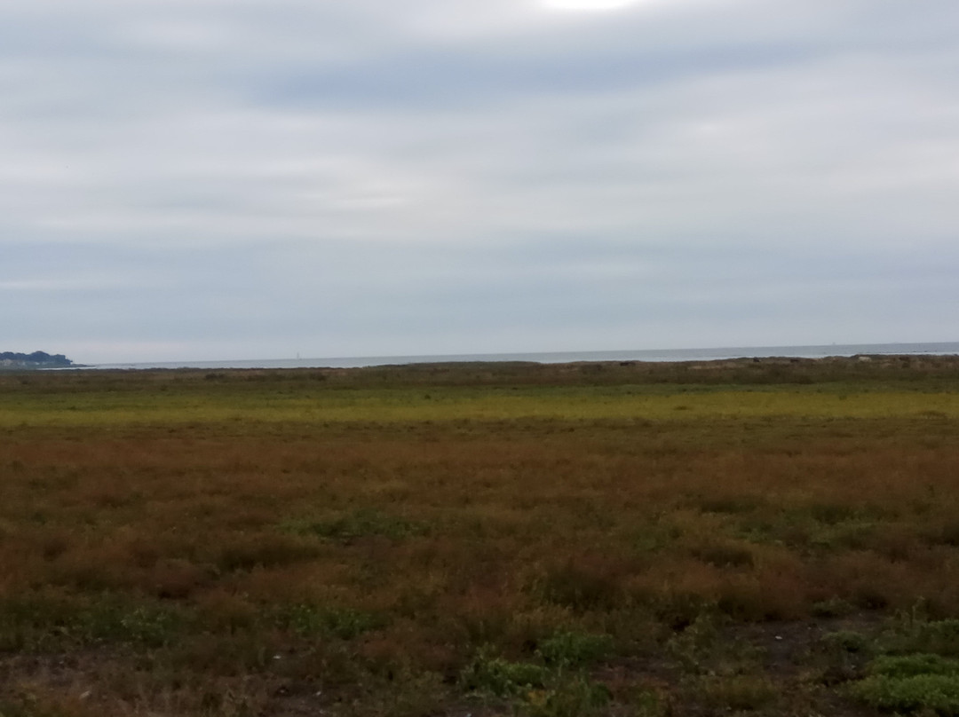 Salvikens strandangar景点图片