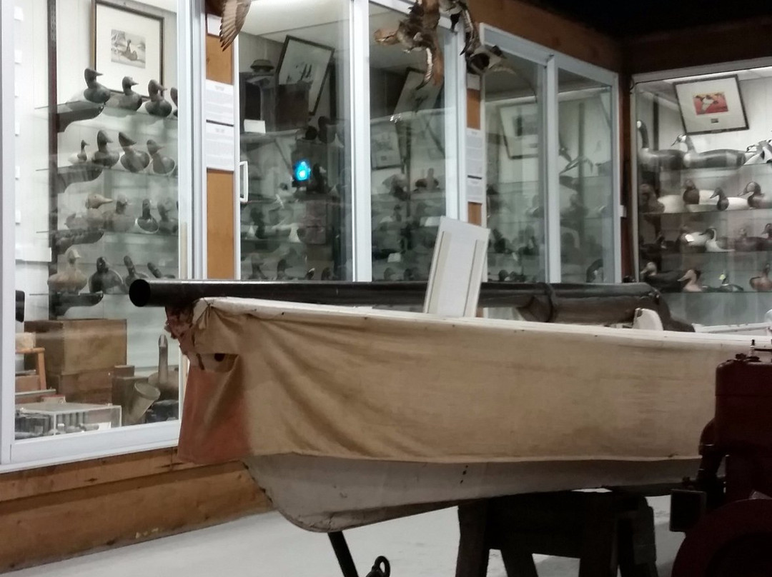 Upper Bay Museum景点图片