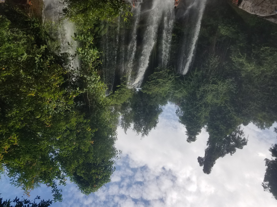 Angkor Guide Pal-暹粒必去景点