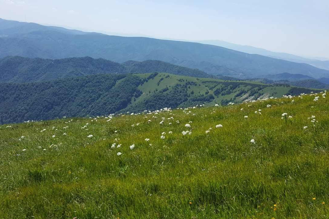 Velka Fatra national park景点图片