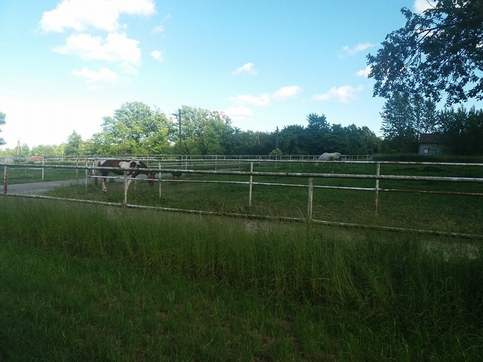 Agroturystyka - Stajnia Bursztynowa