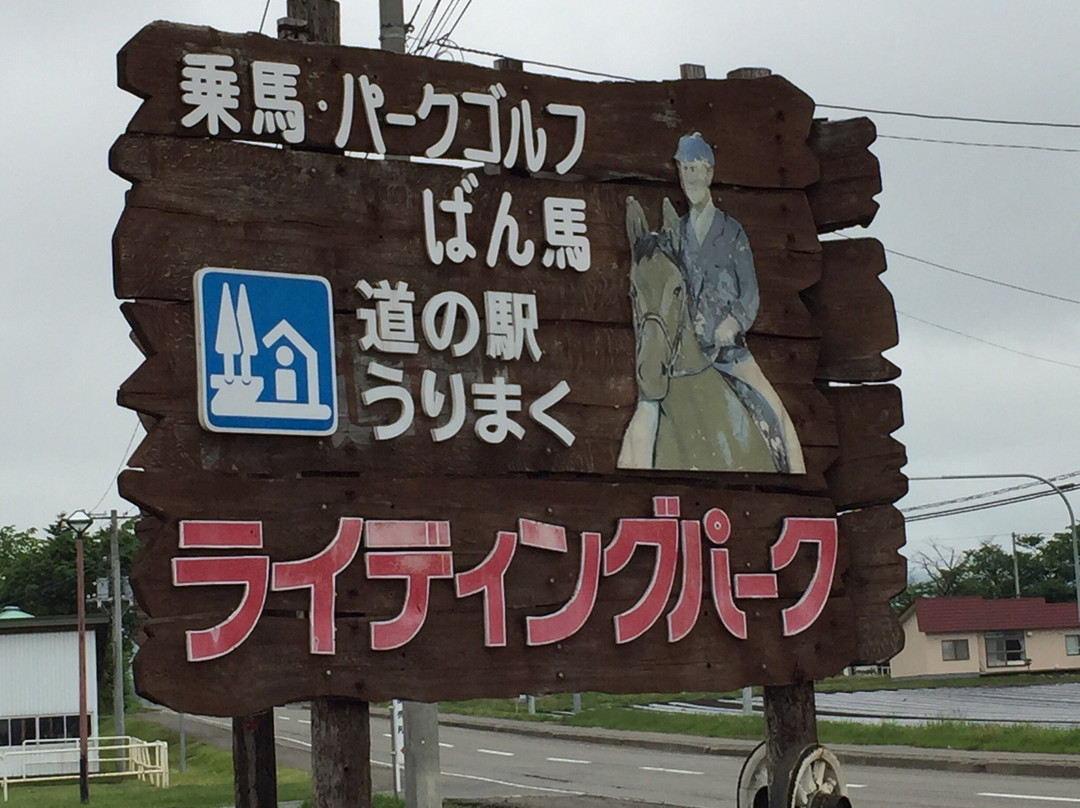 Shikaoicho Riding Park-鹿追町必去景点