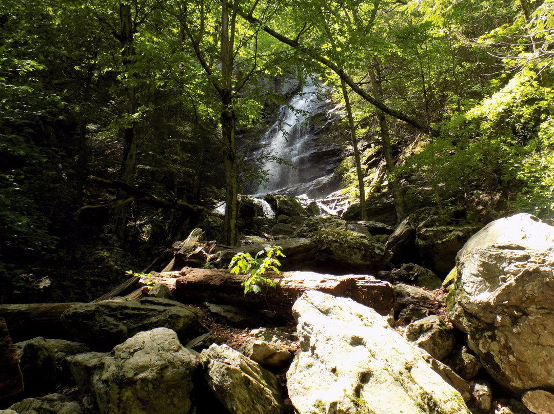 Race Brook Falls景点图片