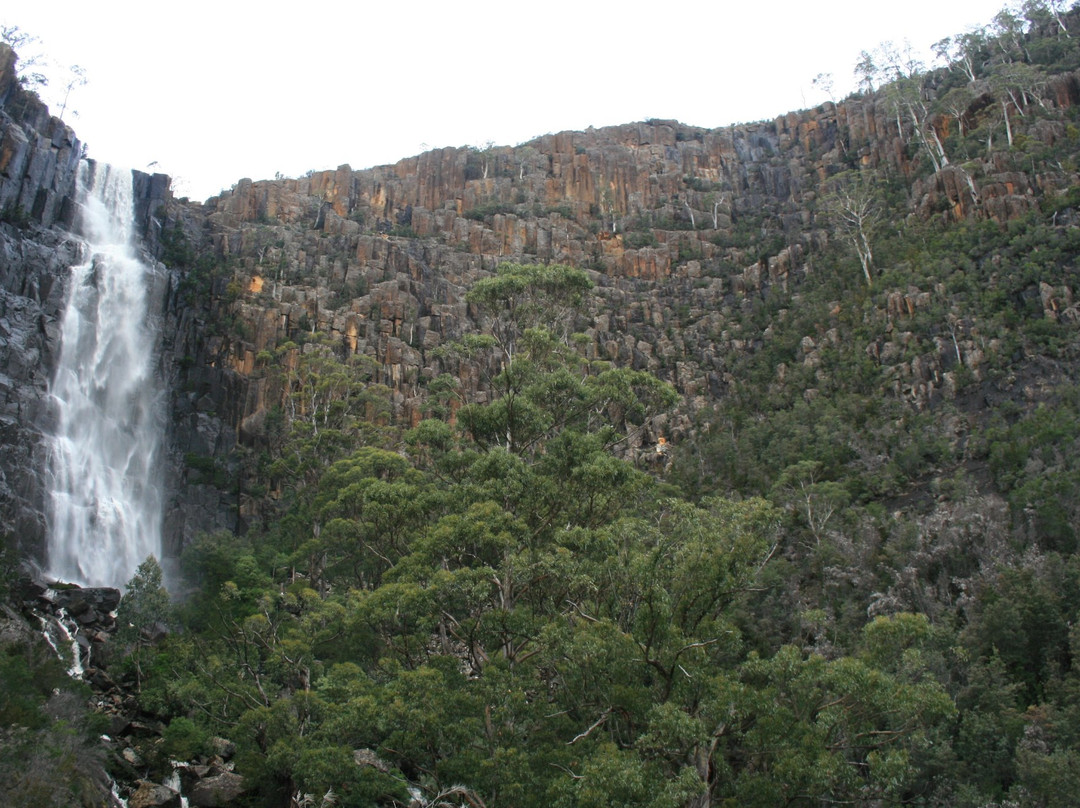 Pelverata Falls Track景点图片