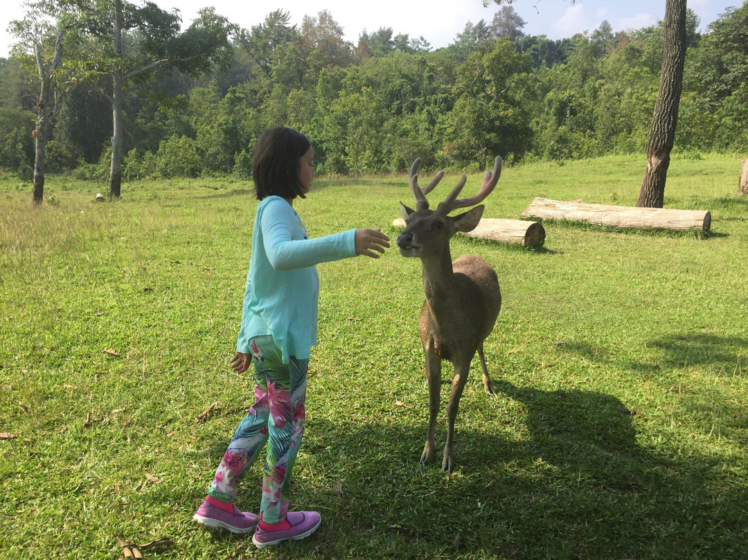 Penangkaran Rusa Cariu-茂物必去景点