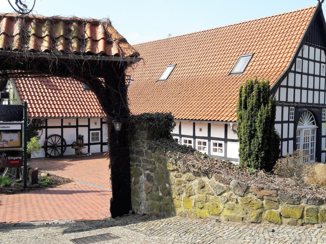 Hasbergen餐馆和美食-Brörmann das Buffethaus