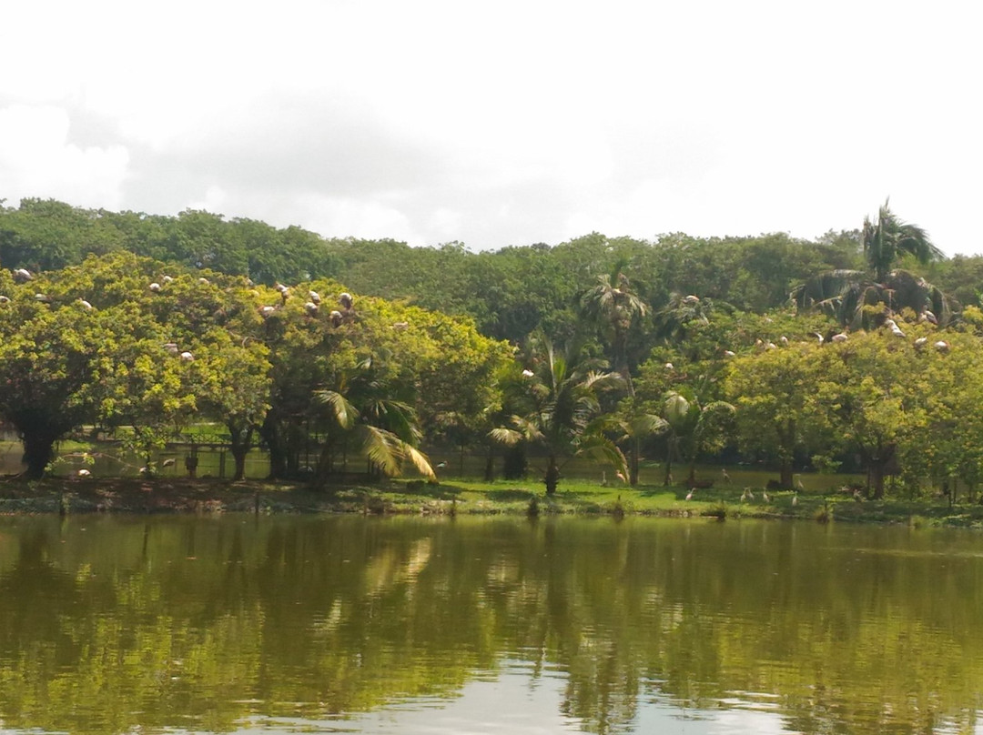Taman Tasik景点图片