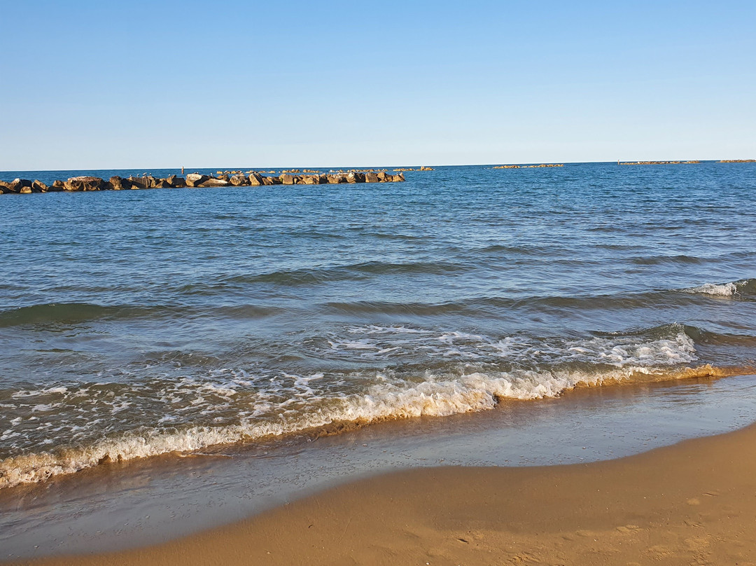 Aloha Beach景点图片