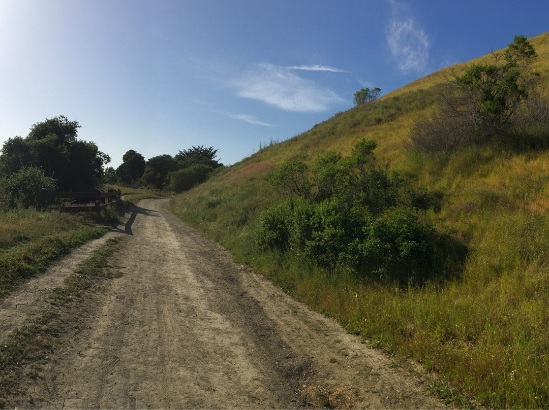Wildcat Canyon Regional Park-列治文必去景点