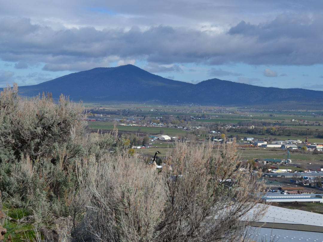 Ochoco Wayside State Park景点图片