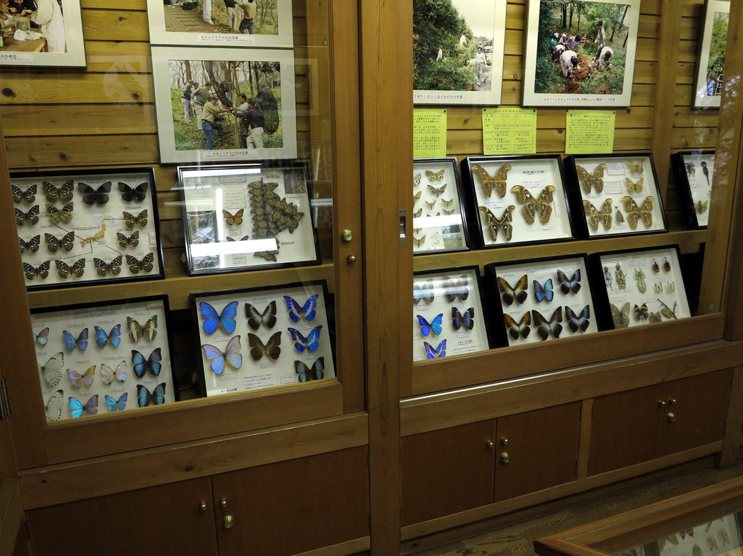 Katakuri to Omurasaki no Forest-小川町必去景点