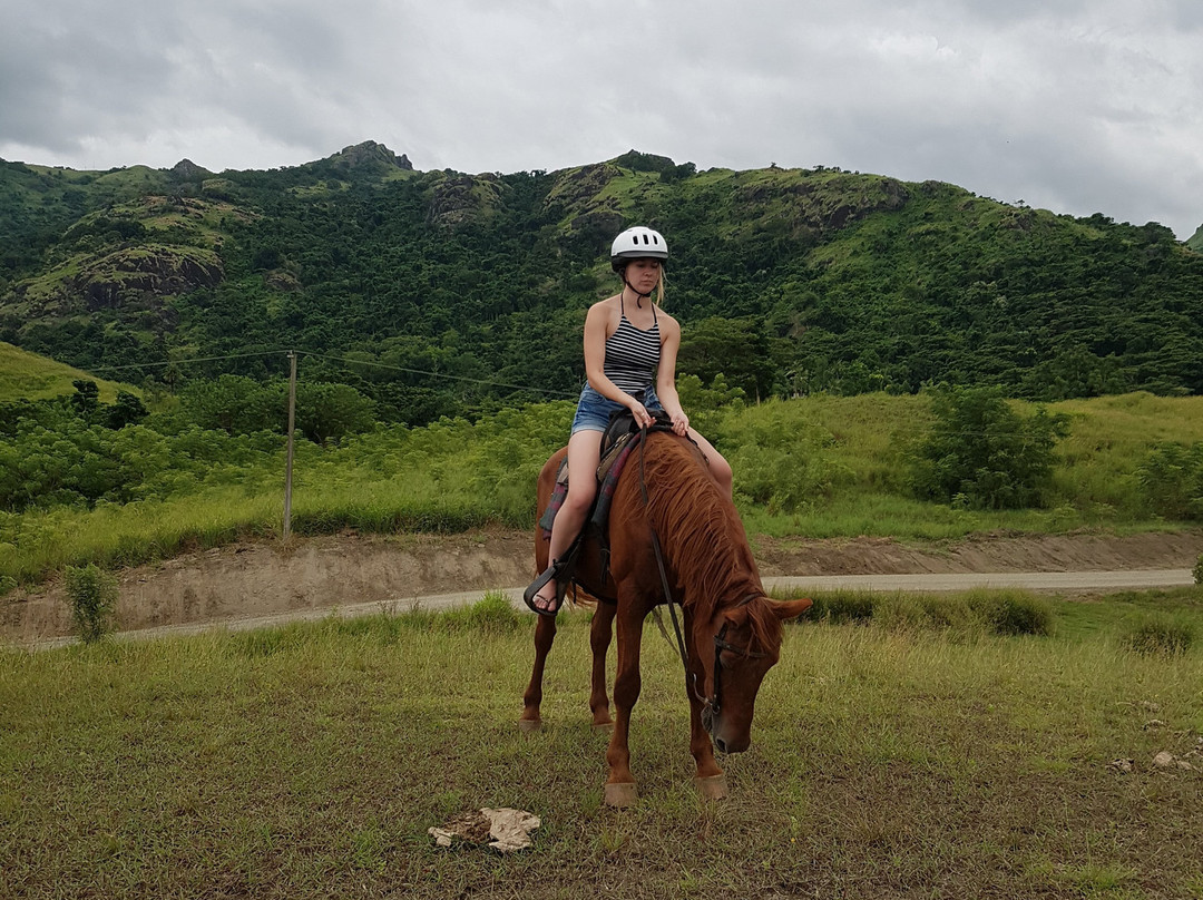 Aviva Farms-纳迪市必去景点