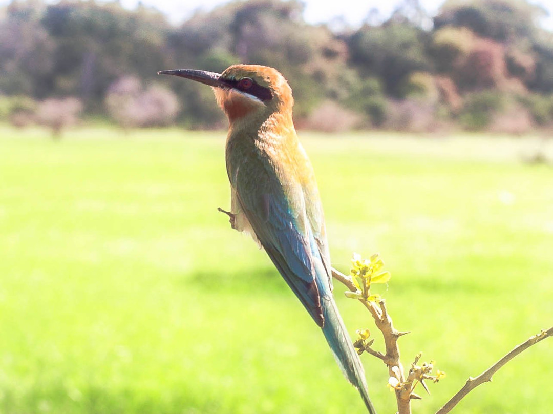 Hansali Reisen-加勒必去景点