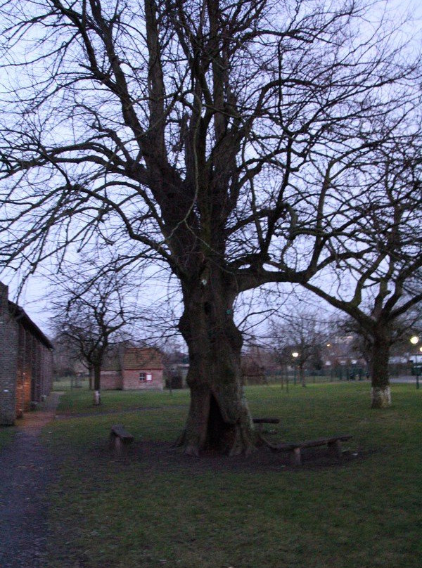 Seven Towers Farm (Zeven Torentjes)景点图片